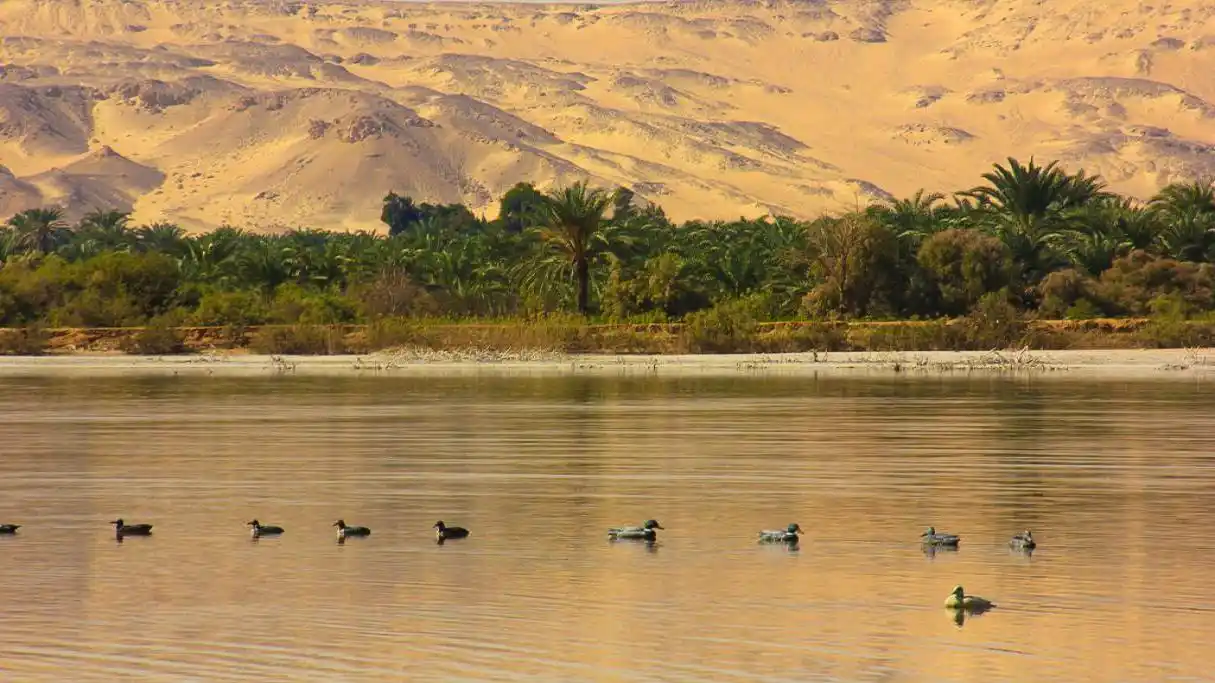 Lake Marun, of Bahariya Oasis egypt Travel